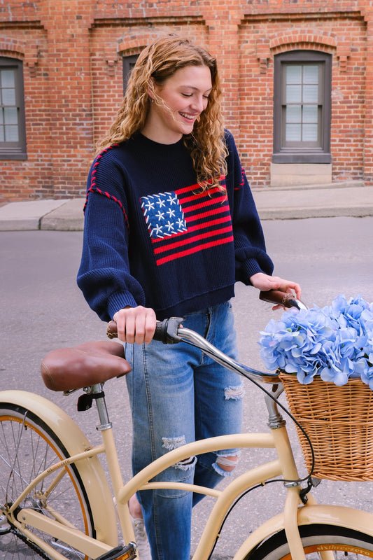 Americana Knit Pullover Sweater Sweater mure + grand 